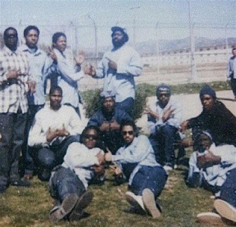 Dinker Park Crips: The Notorious Gang of South Central Los Angeles