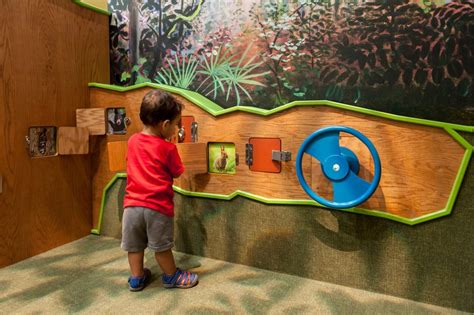 Dinosaur Discovery Zone: An Interactive Learning Experience