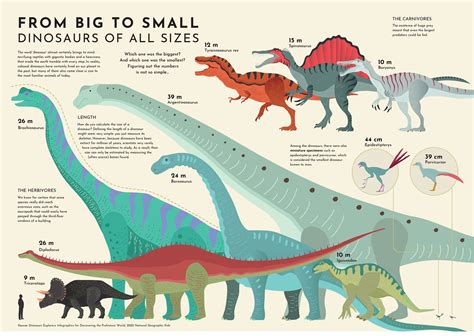 Dinosaur Size Comparison Chart