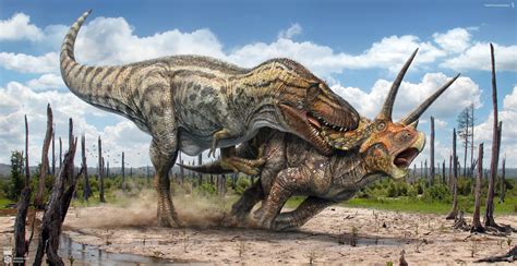 Dinosaurs T-Rex vs Triceratops: A Clash of Titans