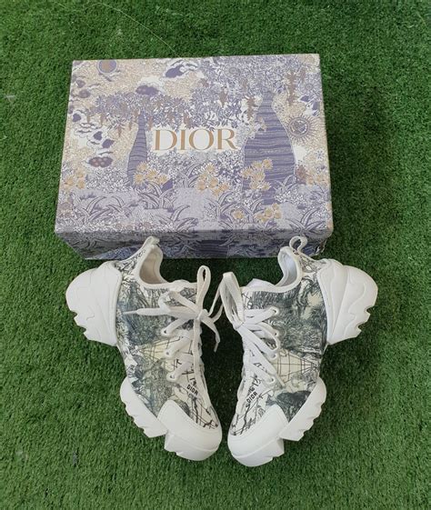 Dior Sneakers: Unparalleled Style at an Exclusive Cost