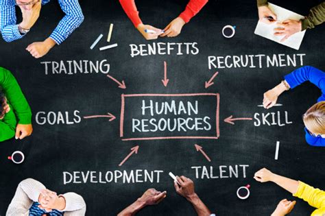 Diploma in Human Resources: Empowering Professionals for the Future of Work