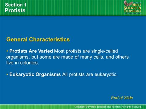 Directed Characteristics Of Protists Holt Biology Answers PDF
