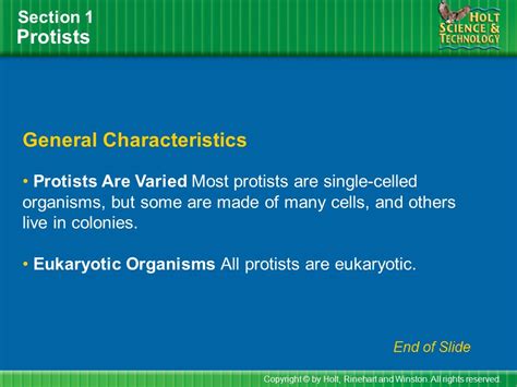 Directed Characteristics Of Protists Holt Biology Answers PDF