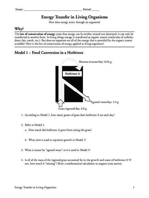 Directed Energy And Living Things Answer Key Kindle Editon