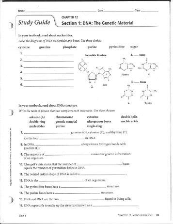 Directed Identifying The Genetic Material Answer Key Epub