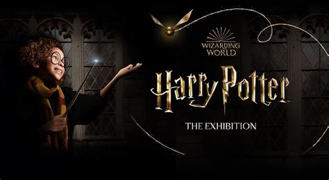 Director's Cut Harry Potter: An Immersive Experience for Potterheads Worldwide