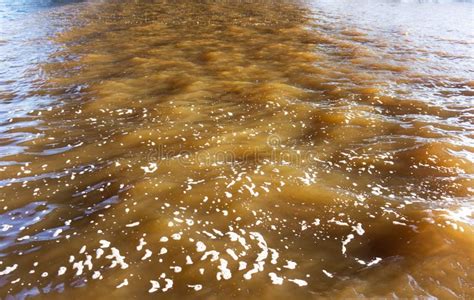 Dirty Brown Water Alan: A Comprehensive Analysis