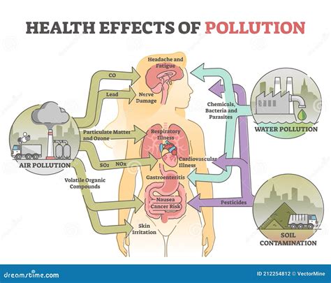 Dirtydalish: Unveiling the Impact of Urban Pollution on Human Health