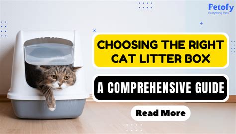 Disabled Cat Litter Box: A Comprehensive Guide for Feline Freedom and Care