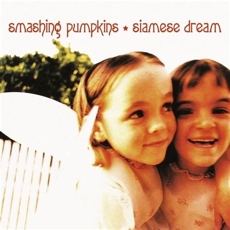 Disarm: Exploring the Heartbreak and Redemption in The Smashing Pumpkins' Lyricism