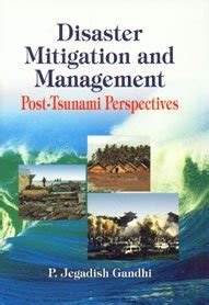 Disaster Mitigation and Management Post-Tsunami Perspectives PDF