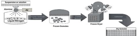 Disc Granulation Technique: A Revolutionary Approach