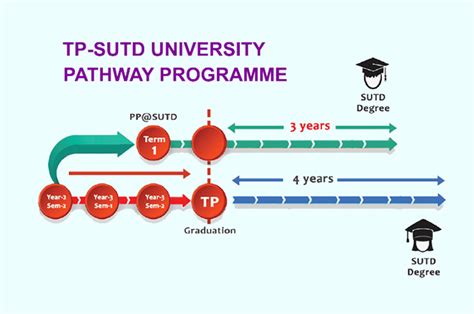 Disciplinary Programmes for Polytechnic Pathways (DPPs)