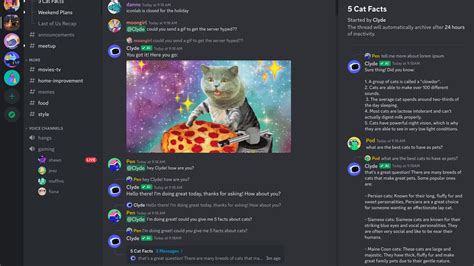 Discord 频道迁移：终极指南