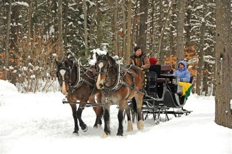 Discover Charmingfare Farm: A Culinary Oasis in Candia, NH