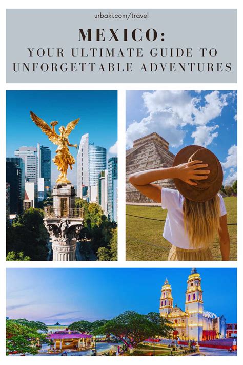 Discover Unforgettable Adventures from the Book: Chapter 555