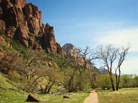 Discover Zion's Enchanting Trails