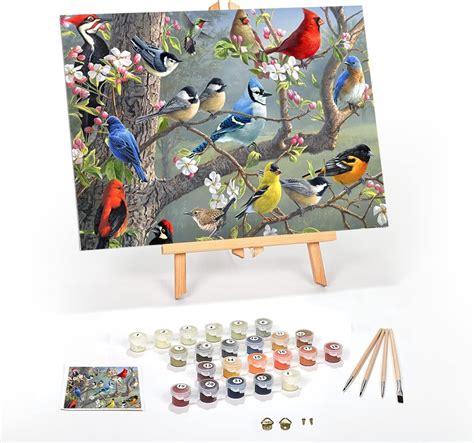 Discover the Allure of Paint by Numbers Amazon Kits