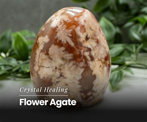 Discover the Astonishing Healing Properties of Flower Agate: A Guide to its 10,000+ Uses