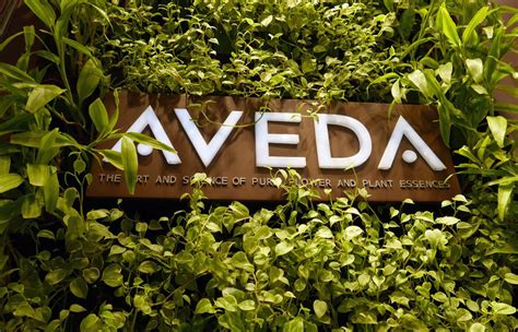 Discover the Aveda Experience