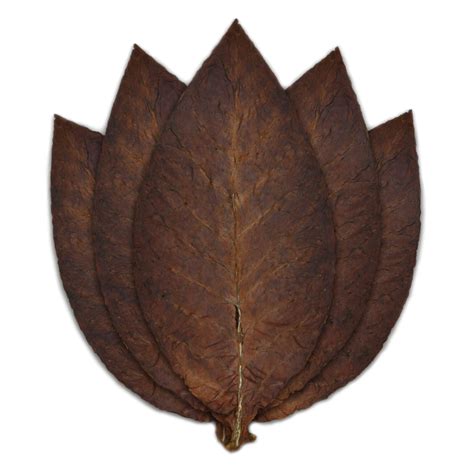 Discover the Convenience of Fronto Leaf Near Me Delivery