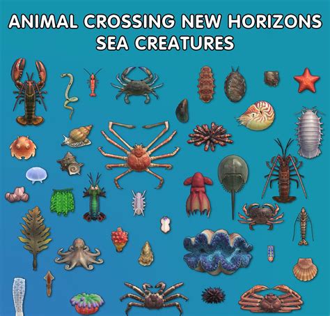 Discover the Enchanting 35 Sea Creatures in Animal Crossing: New Horizons