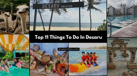 Discover the Enchanting Allure of Desaru, Johor Bahru: Your Ultimate Guide