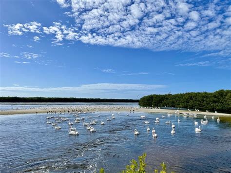 Discover the Enchanting Beauty of Sanibel Island