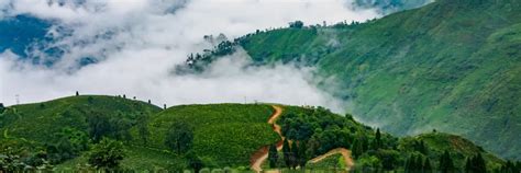 Discover the Enchanting Hills of Darjeeling with Our Expert Tour Agency