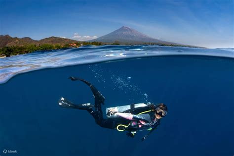 Discover the Enchanting Realm of Scuba Diving