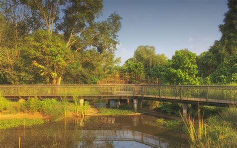 Discover the Enchanting Sungei Buloh Wetland Reserve: A Haven for Nature Lovers