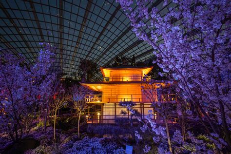 Discover the Enchanting World of Gardens by the Bay