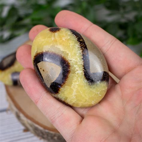 Discover the Enchanting World of Septarian Stone