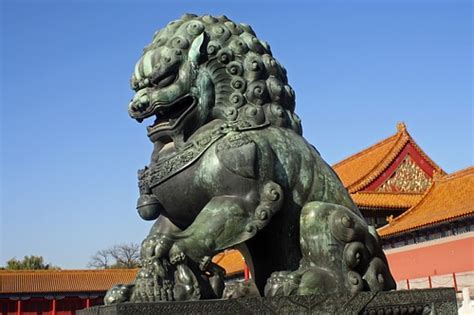 Discover the Enchanting World of the Lion Dog of China: Your Guide to a Royal Companion