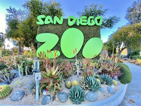 Discover the Enchanting World of the San Diego Zoo: A Comprehensive Guide