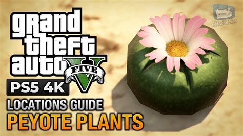 Discover the Enigmatic Peyote Plant in GTA 5: A Journey of Hallucinations and Transformation