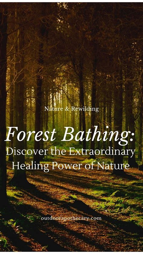 Discover the Extraordinary Healing Power of Nature's Hidden Treasure