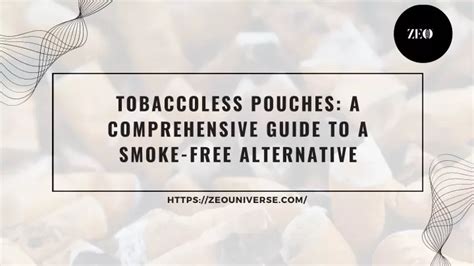 Discover the Healthier Alternative: Embracing Tobaccoless Pouches