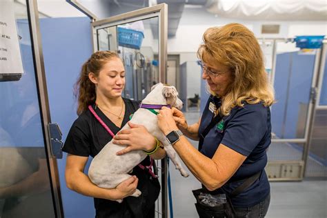 Discover the Humane Society of Polk County, FL: A Haven for Animal Welfare