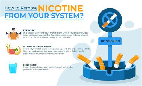 Discover the Path to Nicotine Fulfillment