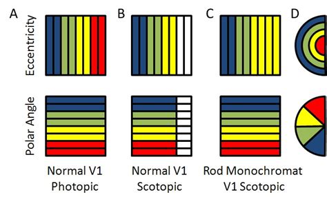 Discover the Power of Monochromat: Unlocking Single-Color Precision