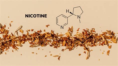 Discover the Power of Nictone: Unleash Enhanced Nicotine Performance and Satisfaction