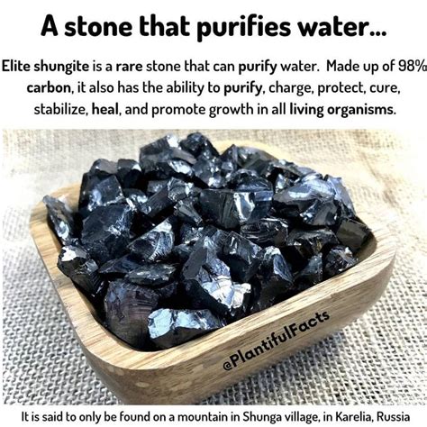 Discover the Power of Shungite