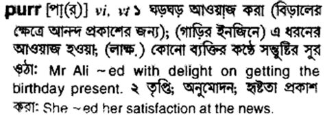 Discover the Purr Meaning in Bengali and Its Heartwarming Significance