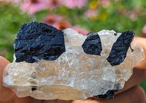 Discover the Synergistic Energies of Black Tourmaline and Quartz