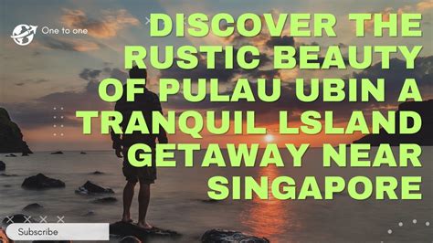 Discover the Tranquil Escape of Pulau Ubin Chalets for an Unforgettable Getaway