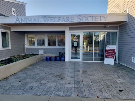 Discover the Transformative Power of Animal Welfare at the AWS Kennebunk Animal Shelter