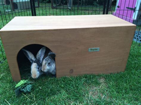 Discover the Ultimate Hideaway for Your Hoppy Companion: Bunny Tents