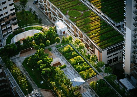 Discover the Vibrant Farms of Singapore: A Journey Towards Sustainable Urban Agriculture